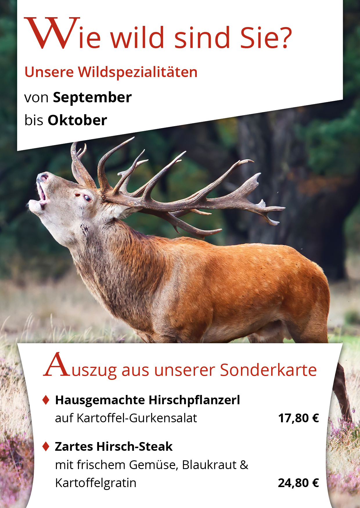 Wildwochen